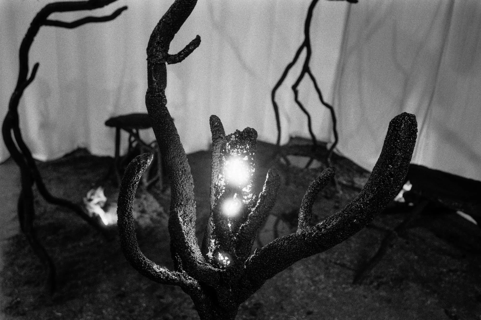 Artificial Organic form on plinth