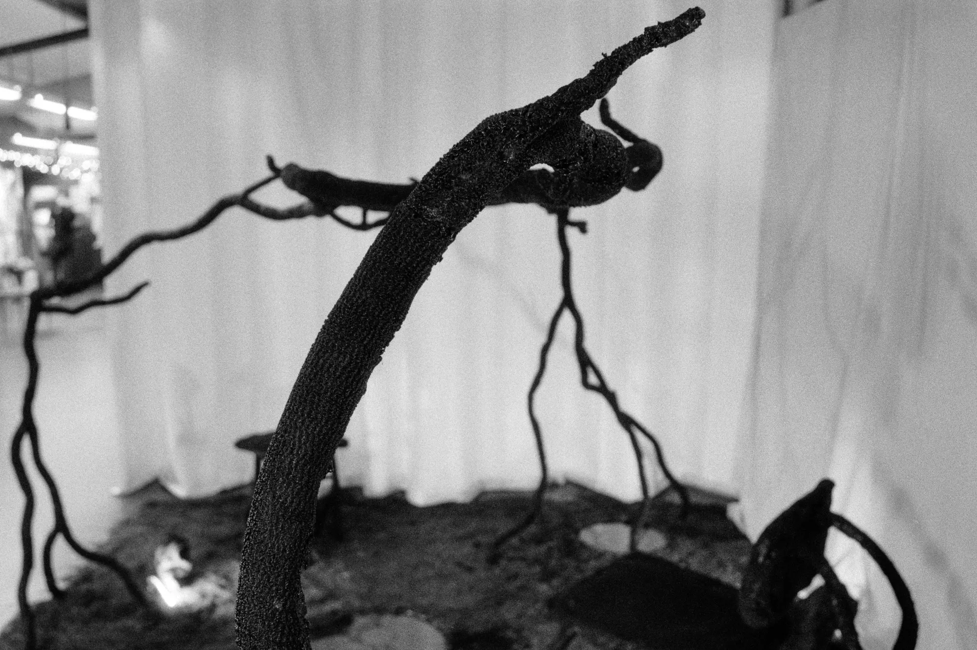 Looking up a single branch
